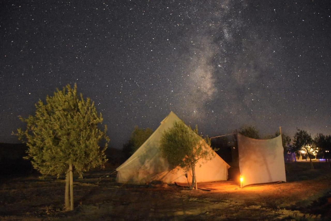 Skyline Eco-Camp Hotell Mitzpe Ramon Eksteriør bilde